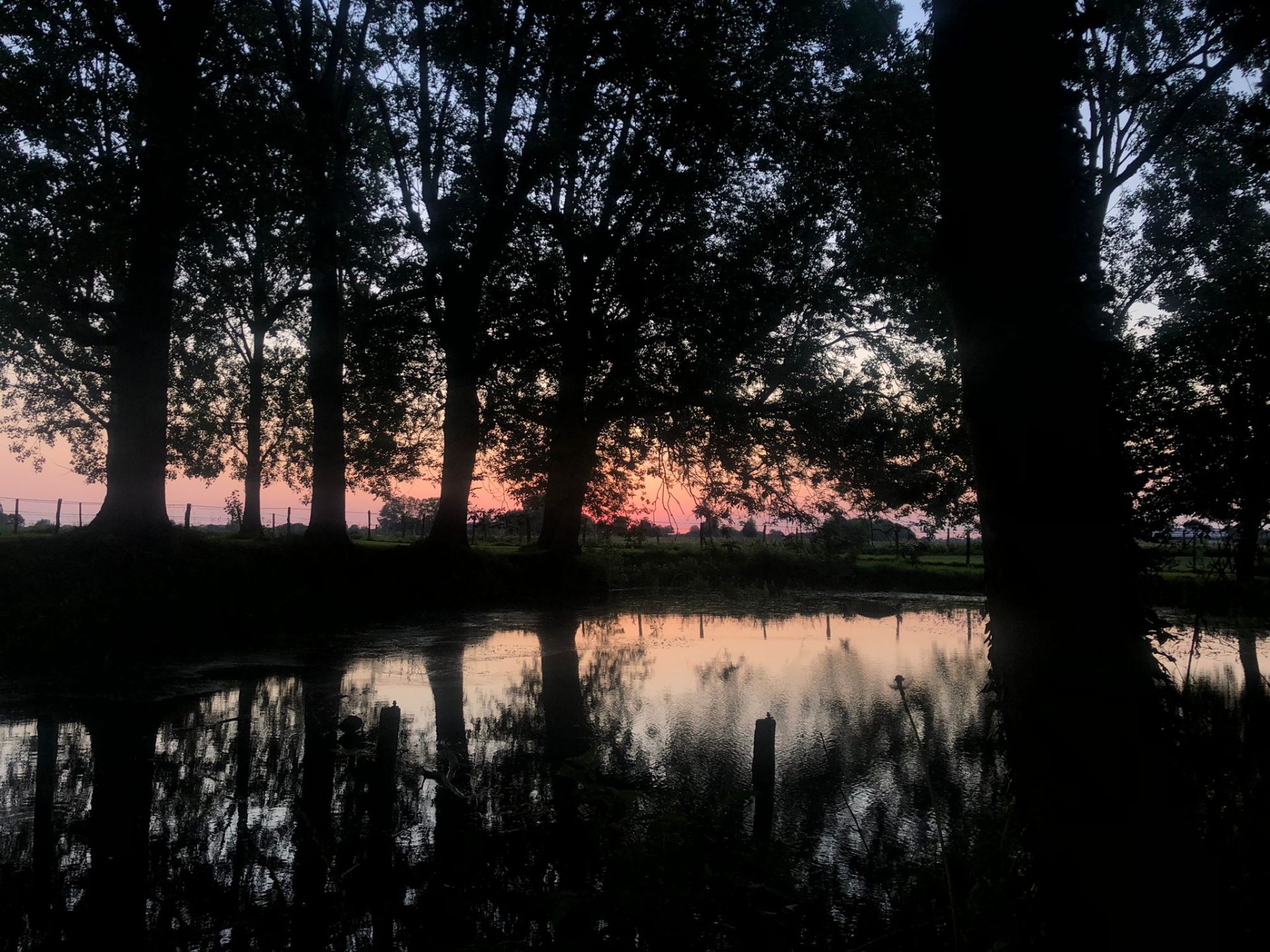Étang bordé d'arbres au crépuscule
